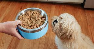We Found the Best Dog Food for Large Breed Puppies